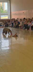 Máme rádi zvířata - základní škola Žákovská