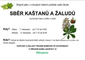 Sběr kaštanů a žaludů - základní škola Žákovská
